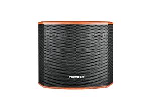 Loa KTV Takstar H-K80 Wood vỏ PVC vân gỗ